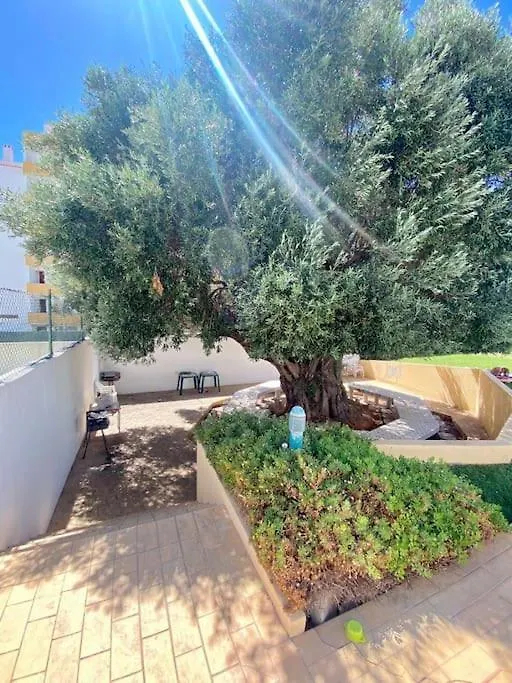 Apartmán Your Holiday Home - Albufeira